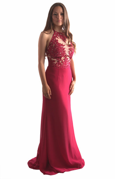 Formal Prom Dress | Red Prom Dress | Velvet Birdcage